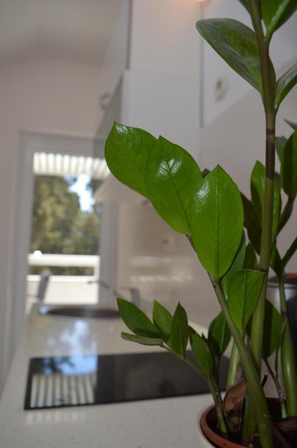 Apartment Kristonia *